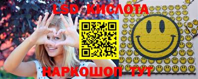 шишки Заводоуковск