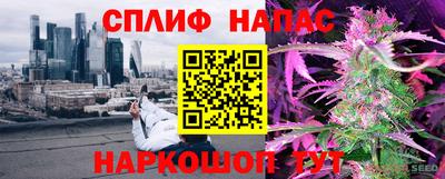 шишки Заводоуковск