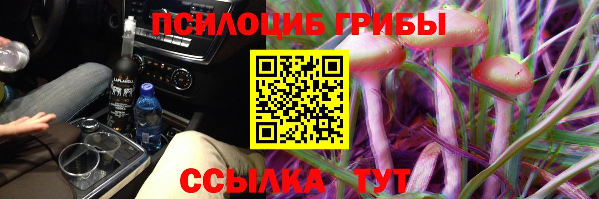 Красноярск  Псилоцибиновые грибы мухоморы  Галлюциногенные грибы Psilocybe  Вход с VPN 